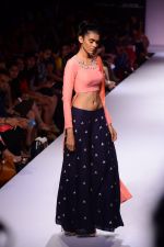 Model walk the ramp for Payal Singhal at LFW 2014 Day 5 on 23rd Aug 2014 (142)_53faf952cc3d1.JPG