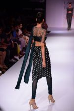 Model walk the ramp for Payal Singhal at LFW 2014 Day 5 on 23rd Aug 2014 (162)_53faf969e0cd3.JPG