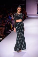 Model walk the ramp for Payal Singhal at LFW 2014 Day 5 on 23rd Aug 2014 (170)_53faf97269c27.JPG