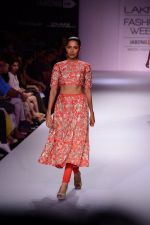 Model walk the ramp for Payal Singhal at LFW 2014 Day 5 on 23rd Aug 2014 (233)_53faf9bb8260a.JPG
