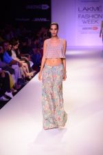 Model walk the ramp for Payal Singhal at LFW 2014 Day 5 on 23rd Aug 2014 (96)_53faf91c738c4.JPG