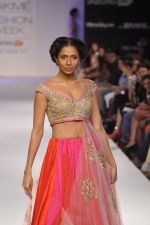 Model walk the ramp for Anushree Reddy at LFW 2014 Day 5 on 23rd Aug 2014 (103)_53fc8fdcefe51.JPG