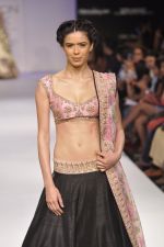 Model walk the ramp for Anushree Reddy at LFW 2014 Day 5 on 23rd Aug 2014 (120)_53fc8ff2be793.JPG