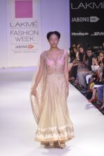Model walk the ramp for Anushree Reddy at LFW 2014 Day 5 on 23rd Aug 2014 (14)_53fc8f67cde9a.JPG