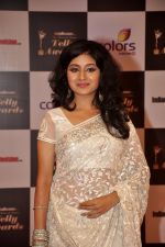 at Indian Telly Awards in Filmcity, Mumbai on 9th Sept 2014 (638)_541006d04657c.JPG
