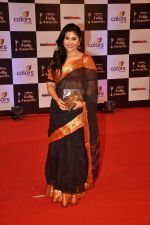 at Indian Telly Awards in Filmcity, Mumbai on 9th Sept 2014 (656)_541006d76856a.JPG