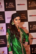 at Indian Telly Awards in Filmcity, Mumbai on 9th Sept 2014 (758)_54100714df29c.JPG