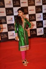 at Indian Telly Awards in Filmcity, Mumbai on 9th Sept 2014 (760)_54100717d3797.JPG