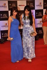 at Indian Telly Awards in Filmcity, Mumbai on 9th Sept 2014 (768)_54100723d801d.JPG