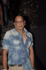 at the Launch of Pyaar Mein Dil Pe song from Tamanchey in Royalty, Mumbai on 10th Sept 2014 (70)_54115496e468e.JPG
