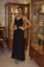 Candice Pinto at Bansri Mehta_s Jewellery Exhibition in Mumbai on 11th Sept 2014 (15)_5412a1579a96c.JPG
