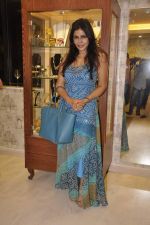 Nisha Jamwal at Bansri Mehta_s Jewellery Exhibition in Mumbai on 11th Sept 2014 (55)_5412a1e77a493.JPG