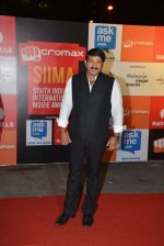 Manoj Tiwari on day 2 of Micromax SIIMA Awards red carpet on 13th Sept 2014 (239)_541543f42f8dd.JPG