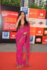 Neetu Chandra at Micromax Siima day 1 red carpet on 12th Sept 2014 (113)_54153d27f3c1a.JPG