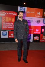 Neil Mukesh at Micromax Siima day 1 red carpet on 12th Sept 2014 (430)_54153d32c7ab7.JPG
