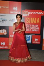 Tamannaah Bhatia on day 2 of Micromax SIIMA Awards red carpet on 13th Sept 2014 (659)_54154549789e2.JPG