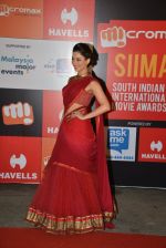Tamannaah Bhatia on day 2 of Micromax SIIMA Awards red carpet on 13th Sept 2014 (666)_5415455948192.JPG