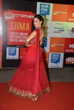 Tamannaah Bhatia on day 2 of Micromax SIIMA Awards red carpet on 13th Sept 2014 (854)_541545851275f.JPG