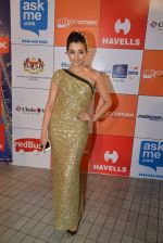 on day 2 of Micromax SIIMA Awards red carpet on 13th Sept 2014 (1158)_54154939a30c3.JPG