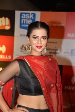 on day 2 of Micromax SIIMA Awards red carpet on 13th Sept 2014 (172)_54154522dd25a.JPG