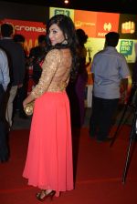 on day 2 of Micromax SIIMA Awards red carpet on 13th Sept 2014 (193)_5415454dc9129.JPG