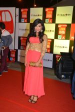 on day 2 of Micromax SIIMA Awards red carpet on 13th Sept 2014 (196)_54154554a934f.JPG