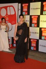 on day 2 of Micromax SIIMA Awards red carpet on 13th Sept 2014 (215)_54154578acd87.JPG