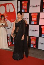 on day 2 of Micromax SIIMA Awards red carpet on 13th Sept 2014 (217)_5415457b5591c.JPG