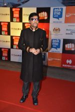 on day 2 of Micromax SIIMA Awards red carpet on 13th Sept 2014 (24)_54154489103fc.JPG