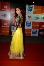 on day 2 of Micromax SIIMA Awards red carpet on 13th Sept 2014 (567)_541546df40e2b.JPG