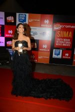 on day 2 of Micromax SIIMA Awards red carpet on 13th Sept 2014 (888)_54154840b2069.JPG