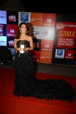 on day 2 of Micromax SIIMA Awards red carpet on 13th Sept 2014 (890)_5415484367652.JPG