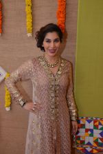 Sophie Choudry at Gujarati Jalso concert in Bhaidas, Mumbai on 14th Sept 2014 (276)_54168cd6388ea.JPG