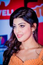 at Micromax SIIMA 2014 on 12th Sept 2014 (15)_54168b2dae2a0.jpg
