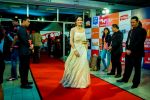 at Micromax SIIMA 2014 on 12th Sept 2014 (27)_54168b3ef1927.jpg