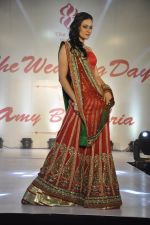 Jasveer Kaur at Wedding Show by Amy Billiomoria in Mumbai on 28th Sept 2014 (463)_54299a242db34.JPG