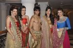 Jasveer Kaur, Teejay Sidhu, Karanvir Bohra, Vahbbiz Dorabjee at Wedding Show by Amy Billiomoria in Mumbai on 28th Sept 2014 (137)_542998a1ad678.JPG