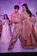 Teejay Sidhu, Karanvir Bohra at Wedding Show by Amy Billiomoria in Mumbai on 28th Sept 2014 (612)_5429983965ed7.JPG