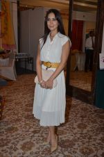 Kim Sharma at Helping Hands exhibition in Palladium on 29th Sept 2014 (10)_542a8c47a96a7.JPG