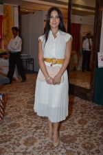 Kim Sharma at Helping Hands exhibition in Palladium on 29th Sept 2014 (20)_542a8c4d7bf18.JPG