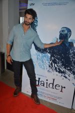 Shahid Kapoor at Haider screening in Sunny Super Sound on 30th Sept 2014 (85)_542be4af89d17.JPG