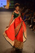 Model walk the ramp for Mandira Bedi Show on day 3 of Myntra fashion week on 5th Oct 2014 (232)_543143d45be7e.JPG