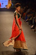 Model walk the ramp for Mandira Bedi Show on day 3 of Myntra fashion week on 5th Oct 2014 (233)_543143dce489b.JPG