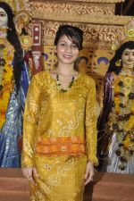 Tanisha Mukherjee at Durga Pooja on 4th Oct 2014 (11)_5430bc8714a5c.JPG