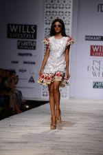 Model walk the ramp for Hemant and Nandita Show on wills day 1 on 8th Oct 2014  (27)_543560b76af87.JPG