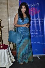 Nisha Jamwal at Project Seven Preview Hosted by Zeba Kohli in Mumbai on 7th Oct 2014 (86)_54354bef71010.JPG