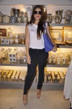 at Laila Singh showcases her new collection at Twinkle Khanna_s Store The White Window in Mumbai on 9th Oct 2014 (11)_54377b8cafcfc.JPG