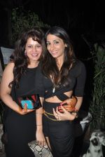 at Nido Bar Nights by Butter Events in Mumbai on 10th Oct 2014 (25)_54391f2d95d71.JPG