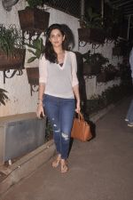 at Special screening of Sonali Cable at Sunny Super Sound on 11th Oct 2014 (29)_543a83ed5d71f.JPG