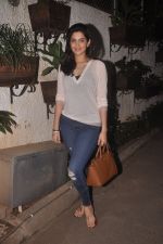 at Special screening of Sonali Cable at Sunny Super Sound on 11th Oct 2014 (32)_543a83f356f0e.JPG
